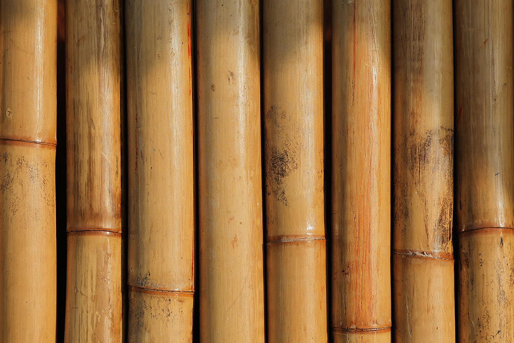 6m Bamboo Poles