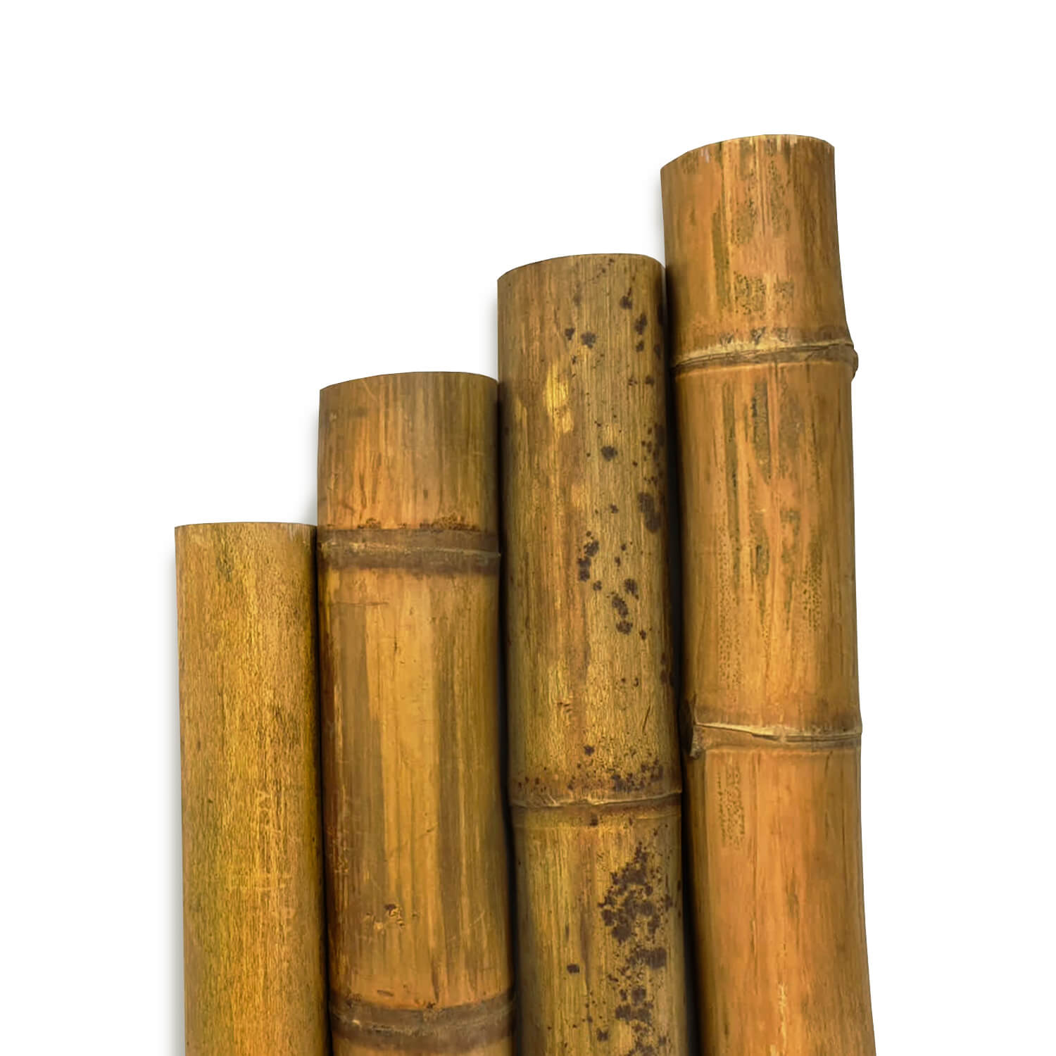 Guadua Bamboo Poles | UK Bamboo