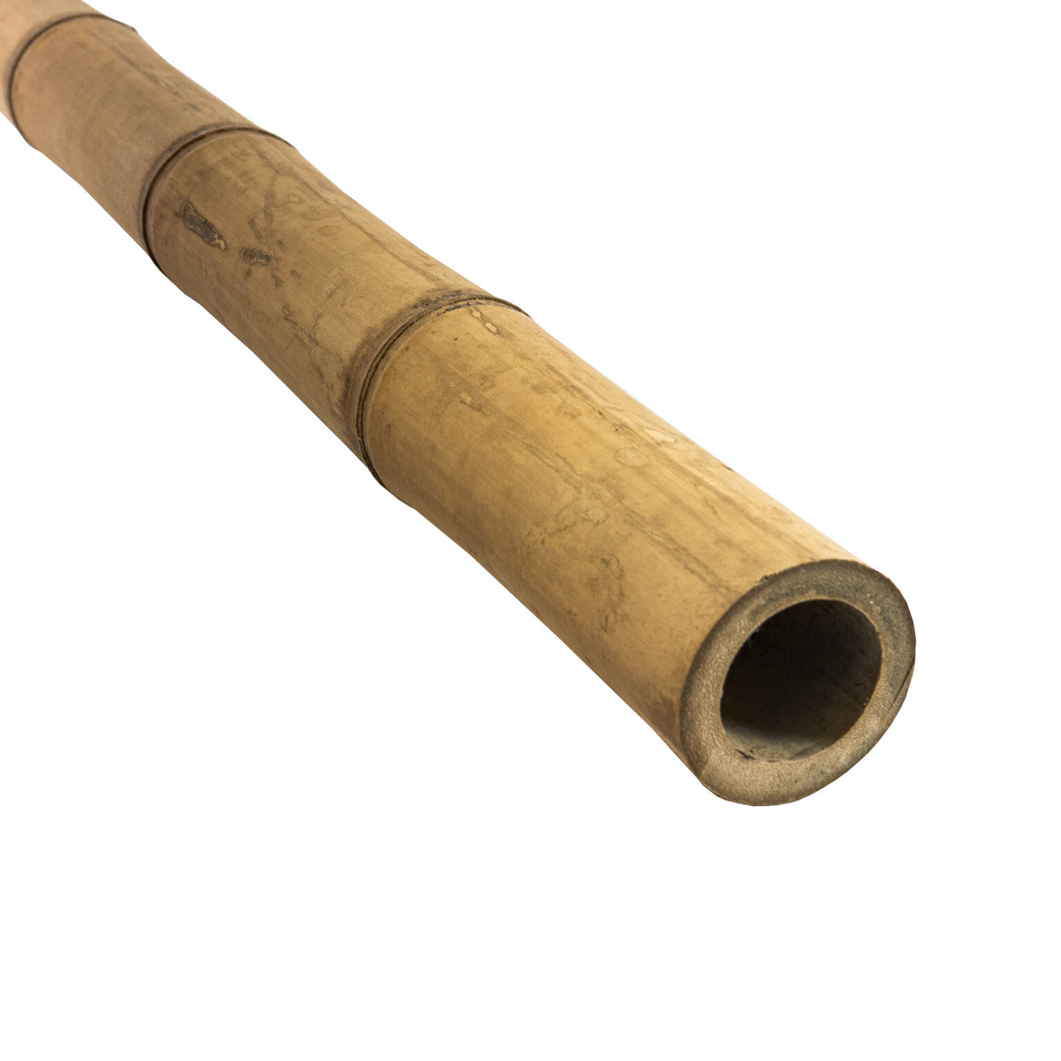 Guadua Bamboo Poles | UK Bamboo